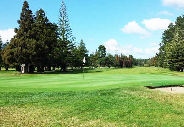 $25 for an 18-Hole Round of Golf for One Person on the Stunning Bay Of Islands Golf Course, Kerikeri - Options for Two People & Two People with a Golf Cart