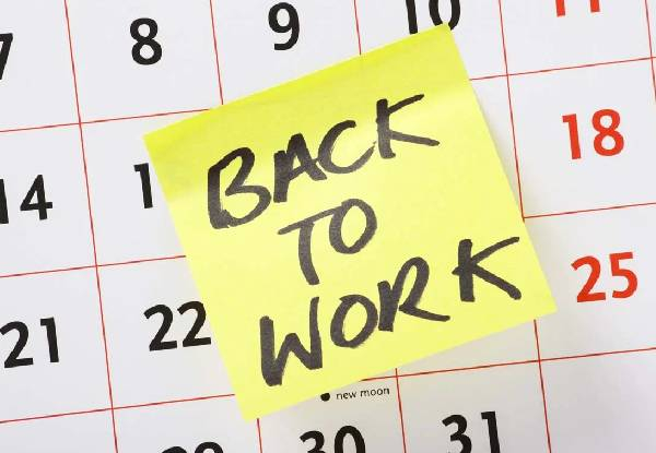 Back to Work 30-Course Online Bundle