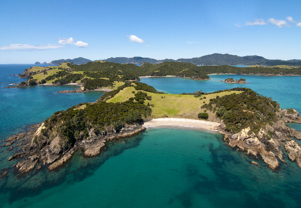 Return Ferry Trip to Otehei Bay in the Spectacular Bay of Islands - Options for Adults, Children & Families