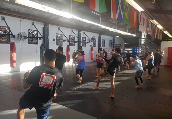 One Month of Unlimited Mixed Martial Arts Classes - Browns Bay Location