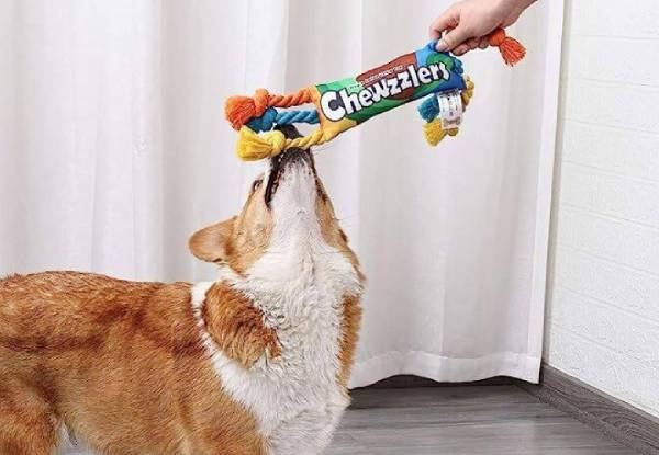 Chewzzlers Squeaky Rope Dog Chew Toy