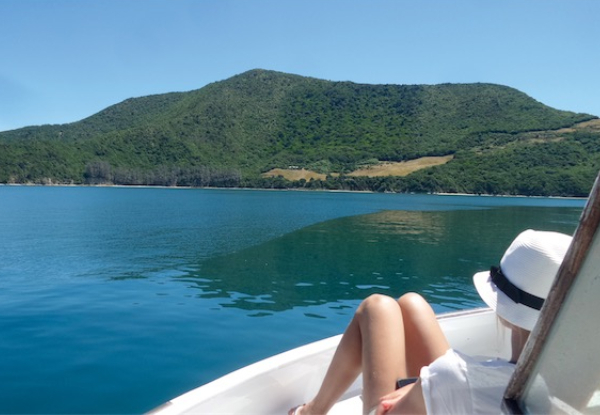 Mail Boat Special Day Trip through the Pelorus Sounds for an Adult - Option for Child