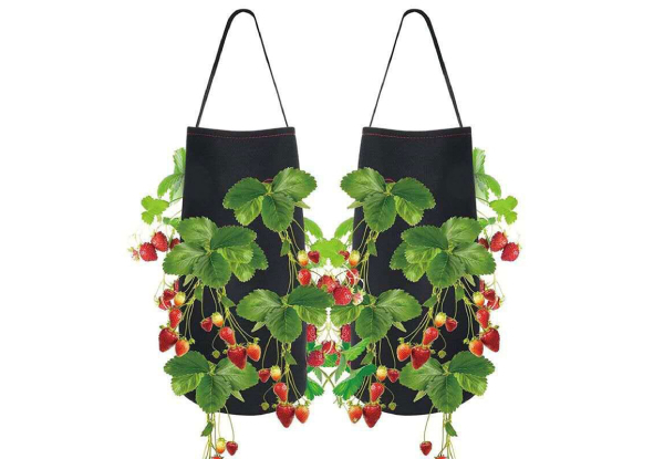 Two-Pack Garden Hanging Strawberry Plant Bag