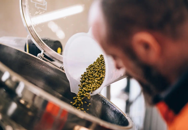 Brewery Tour at Emerson's Brewery Dunedin from $45