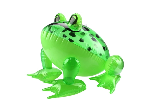Adult's Inflatable Frog Costume