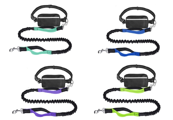 Hands-Free Dog Leash - Four Colours Available