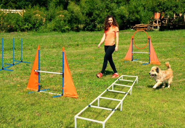 Five-Piece Dog Agility Training Equipment Set incl. Carry Bag