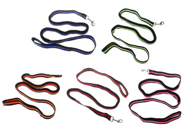 1.2m Expandable Bungee Dog Leash - Available in Five Colours