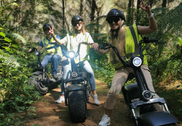 60-Minute E-Venture Forest Trail on a Fat Tyre Scooter for One-Person / Extra Person - Options for Off-Road Segway Fun & for up to Six People