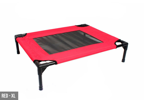 Dog Elevated Bed- Two Colours & Two Sizes Available
