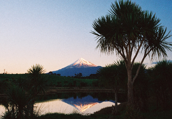 Per-Person, Twin-Share, Five-Night Forgotten World & Kapiti Island Adventure from Auckland incl. Car Hire, Accommodation, Glowworms, Jet Boating, Kiwi Spotting & More