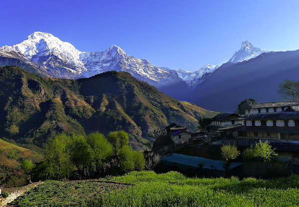 Per Person Twin Share for a 10 Night Nepalese Annapurna Panorama Trekking Tour incl. Accommodation, Breakfasts, English Speaking Tour Guide, Transfers & More