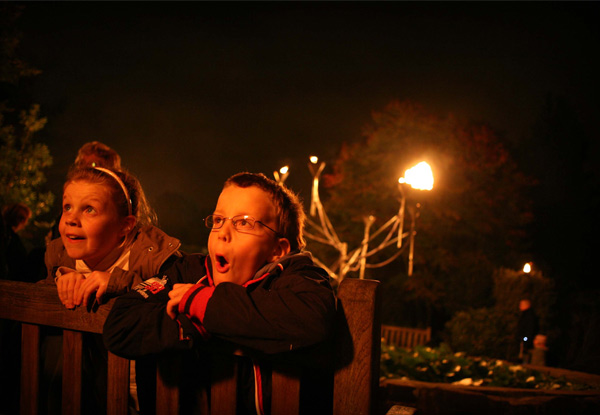 $24 for a GA Ticket to Power Plant – Auckland Domain on 8th March (Booking & Service Fees Apply)