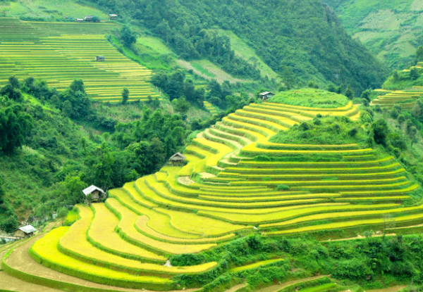 Per Person Twin Share Seven-Day Vietnam Tour incl. Meals as Mentioned, Accommodation, Transportation, & More