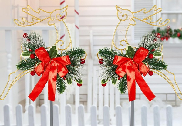 30LED Christmas Reindeer Lights - Option for Two-Piece