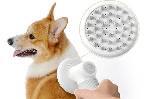 Automatic Foaming Silicone Bristles Pet Bathing Brush