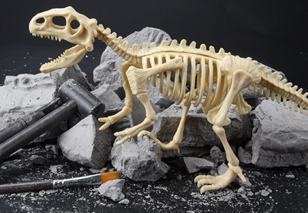 Kids DIY Dig Up Dinosaur Skeleton Excavation Kit  - Five Options Available