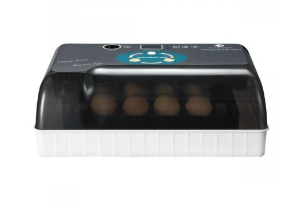 Digital 12-Egg Incubator with LED Light