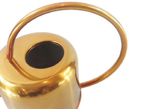 Gold Elliptical Watering Can