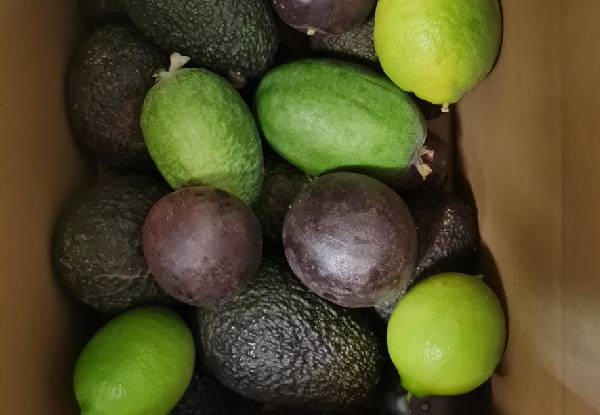 Mixed Fresh Fruit Box incl. Avocados, Passionfruit & Feijoas - Option to incl. Limes