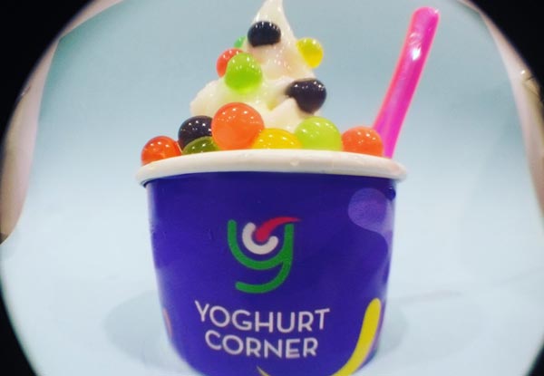 Large Cup of Frozen Yoghurt - Valid Seven Days a Week