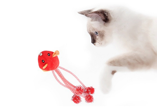 Bite Resistant Cat Toy - Three Colours Available & Option for Two-Pack