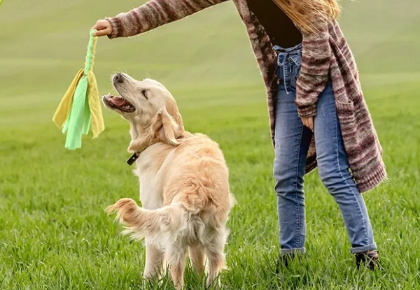 Dog's Retractable Interactive Flirt Toy Pole