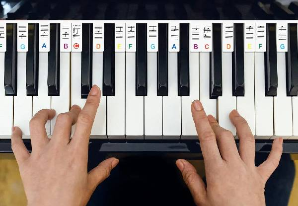 Removable 88-Key Keyboard Note Labels