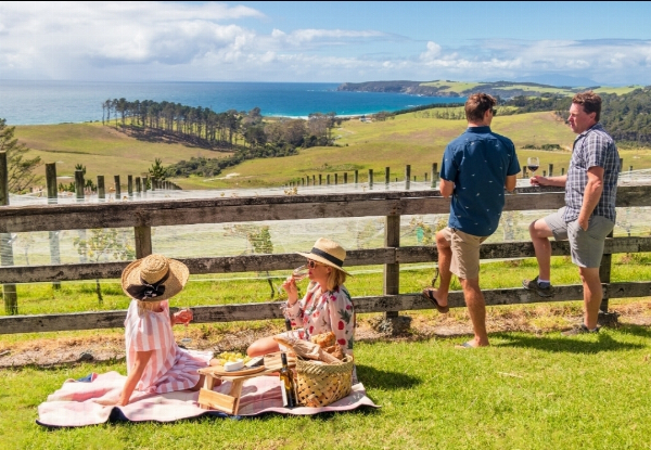 Matakana Local Artisan Picnic Box & Real Fruit Soda for Two - Option for Four - Upgrade to a Matakana Mystery Picnic Experience or Pedal n Picnic Experience