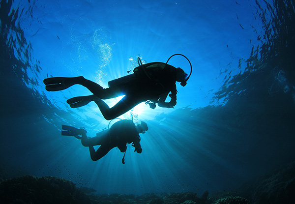 $379 for a PADI Open Water Dive Certification Course incl. Wet Suit, Tanks, Regulator, Mask, Snorkel, Fins BCD & Weights - Options for up to Four People (value up to $1,785)