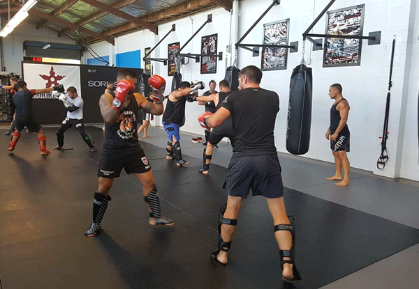 One Month of Unlimited Mixed Martial Arts Classes - Browns Bay Location