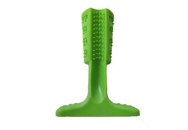 Green Dog Toothbrush Chew Toy