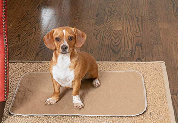 Washable Puppy Training Pad - Two Colours Available & Option for Two