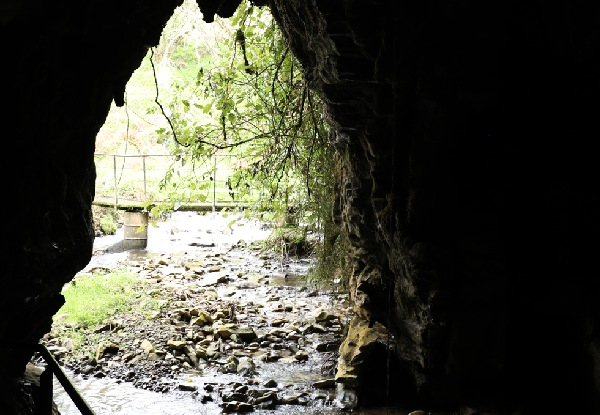 Hobbiton & Spellbound Glowworm Cave Tour at Waitomo for One Adult Departing from Auckland - Options for Child & Rotorua Departure & with Luxury Return Transport in Small Groups