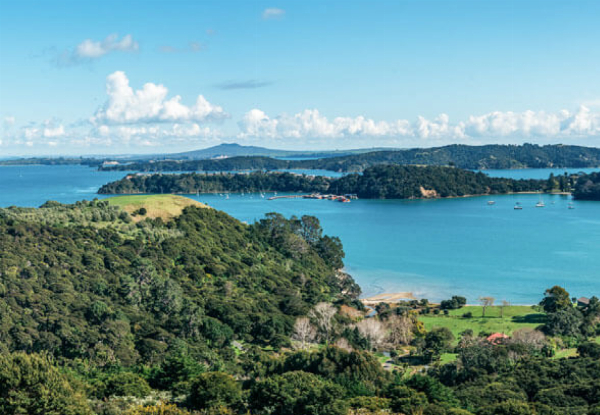 Waiheke Island Scenic Flight - Family Deal for Two Adults & One Child - Option for 45-Minute Flight