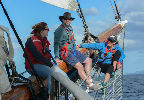 Five-Day Coastal Adventure from Napier to Wellington with the Spirit of Adventure Trust