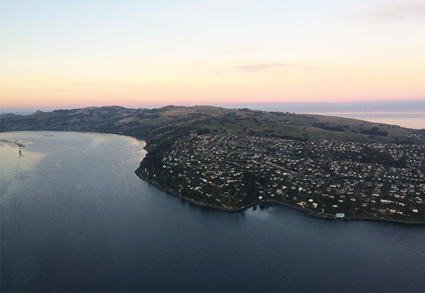 Introductory Hands On Learn to Fly Lesson Over Dunedin incl. Ground Briefing