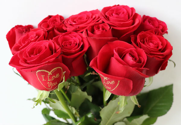 Six or Twelve Celebration Bouquet of Roses with any Custom or Standard Printed Message on One or Two Roses incl. Free Auckland Delivery - Choose from Four Different Colours