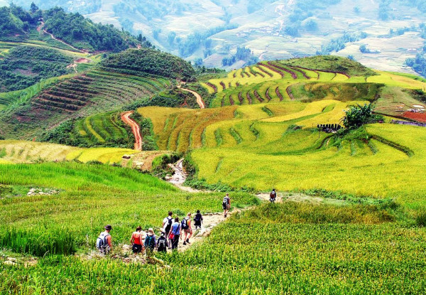 Per-Person Twin-Share Seven-Day Vietnam Tour incl. Meals as Mentioned, Accommodation, Transportation & More