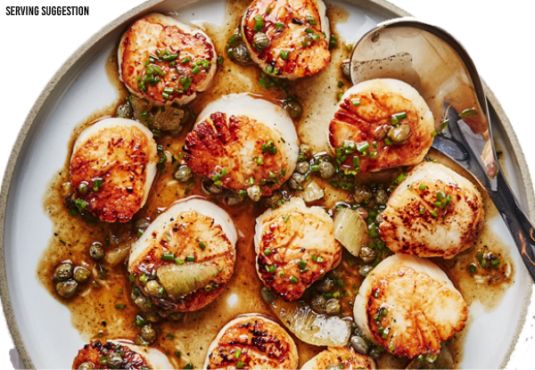 Pre-Order 500g Pack of Whangamata Scallops Frozen - Option for Two Packs - Pick-Up Only from Auckland on 18th December 2021