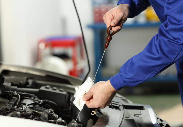 Comprehensive Full-Service Oil Change - Options for Japanese, European & Diesel Available