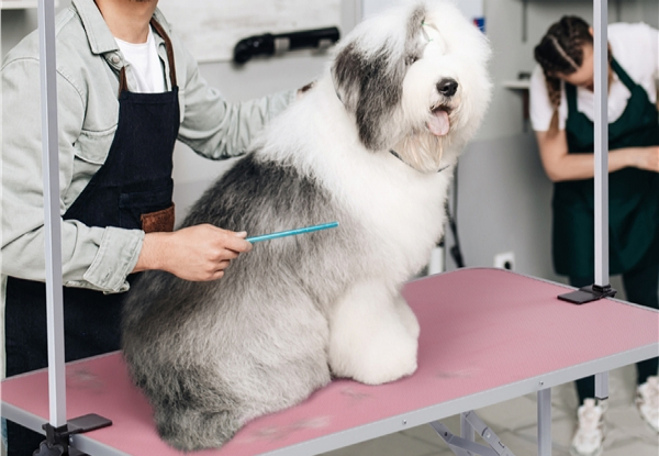 Extra Large Pet Grooming Table - Two Colours Available