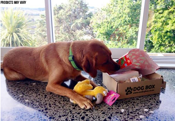 $24 for an NZ DOG BOX Surprise Box - Three Options