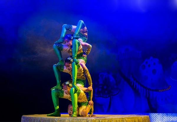 Adult Ticket to the Brand New 
'Cirque Grande' - Option for Child Ticket Available