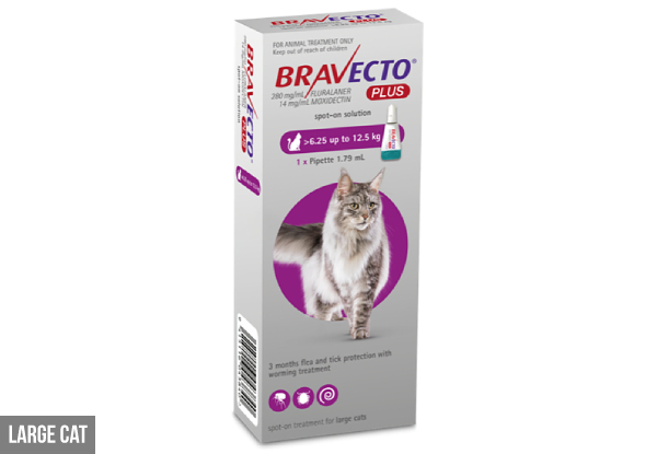 Bravecto Plus Flea Treatment for Cats - Three Options Available