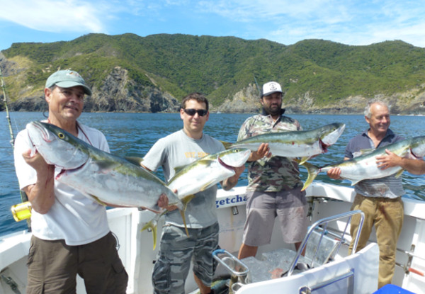 Six-Hour Bay of Islands Kingfish Fishing Charter incl. Bait, Rods & Tackle - Options for One, Two or a Group of Four People - Weekends Only