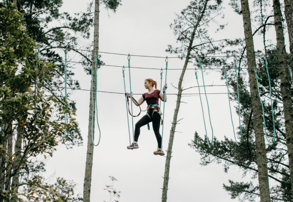 One Adult or Child Admission to The Stix Ultimate Tree Climb - Valid Friday to Sunday