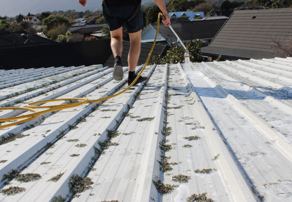 Roof Restore Treatment incl. Gutter Clear-Out & Roof Health Report - Options for Up to 400m2