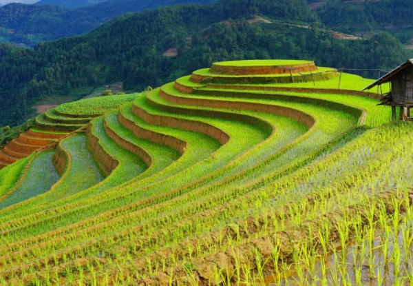 Per-Person, Twin-Share 7 Day Tour of Hanoi, Halong and Sapa incl. Accommodation, Meals, Airport Transfer, Kayaking on Halong Bay, Cooking Class & More - Option for Three, Four and Five Star Accommodation Packages