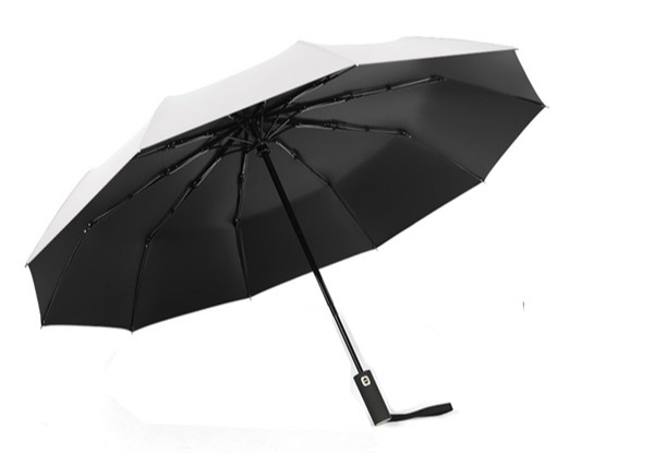 Automatic Windproof Travel Umbrella - Four Colours Available